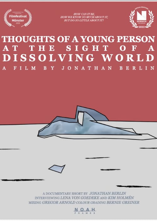 Thoughts of a young man...